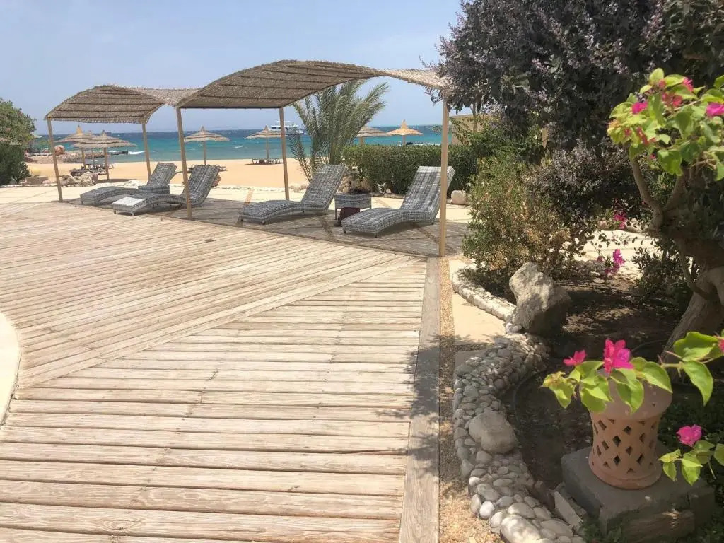 Apartment in Hurghada 174