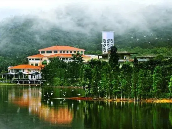 Xinglun International Apartment (Foshan Meidi Wuhu Shop)