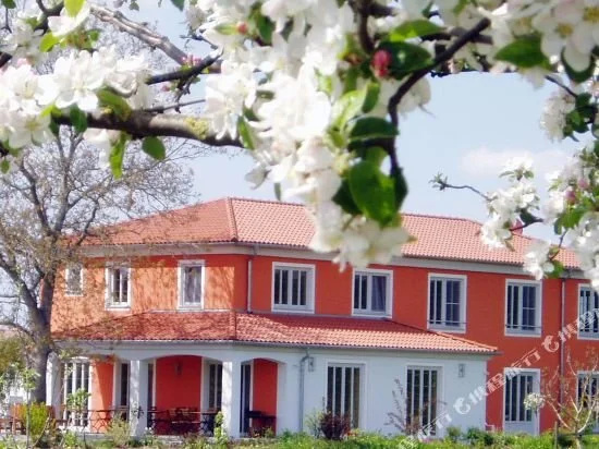 Weinhof am Nussbaum