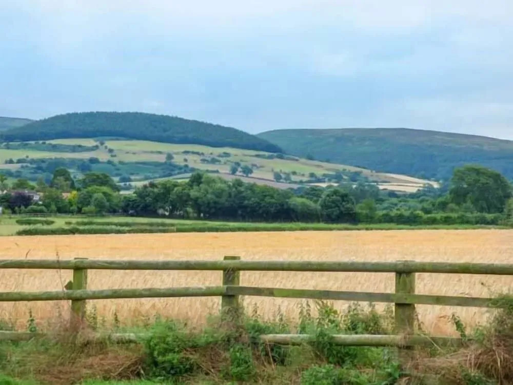Whorlton Lodge