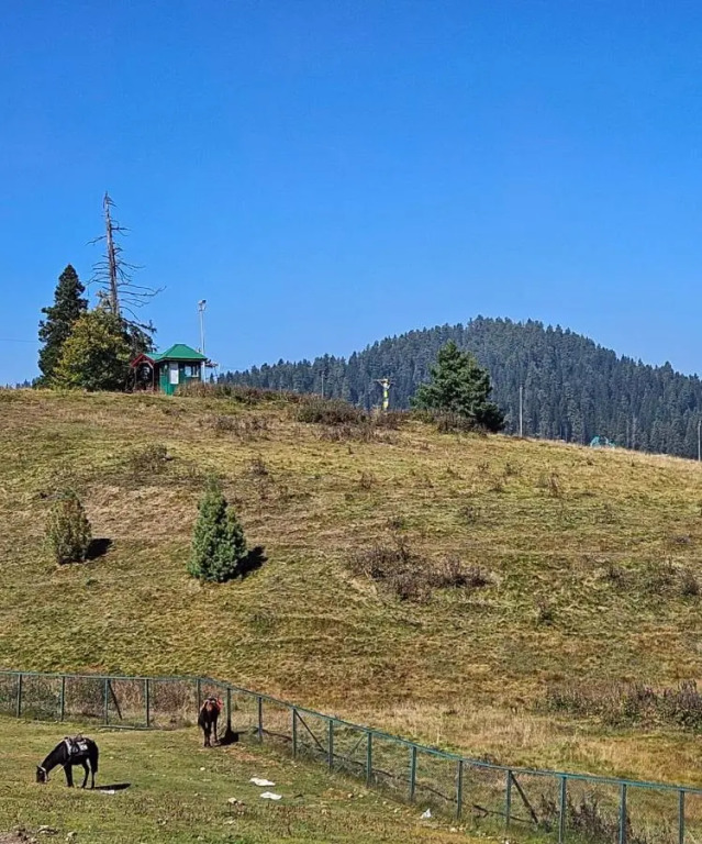 Gulmarg Woods by Stay Pattern