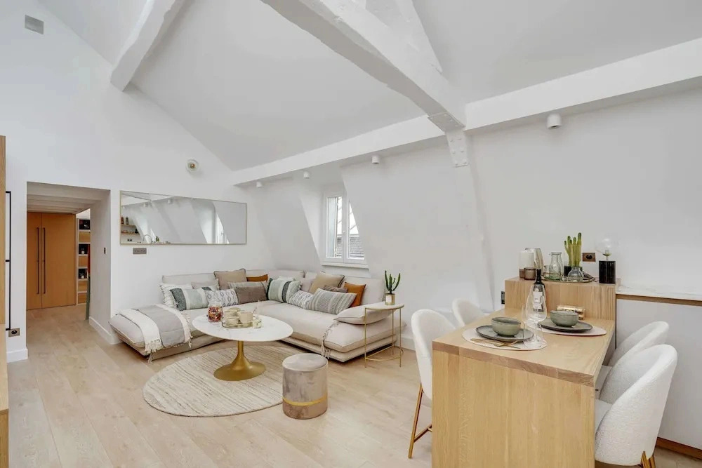 Historical Apartment in the Heart of Paris - 4