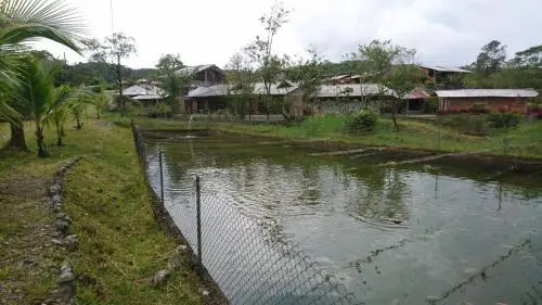 Ulbilla Hosteria