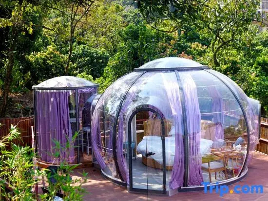 Guangzhou Conghua Qingfeng Xiaozhu Starry Sky Homestay