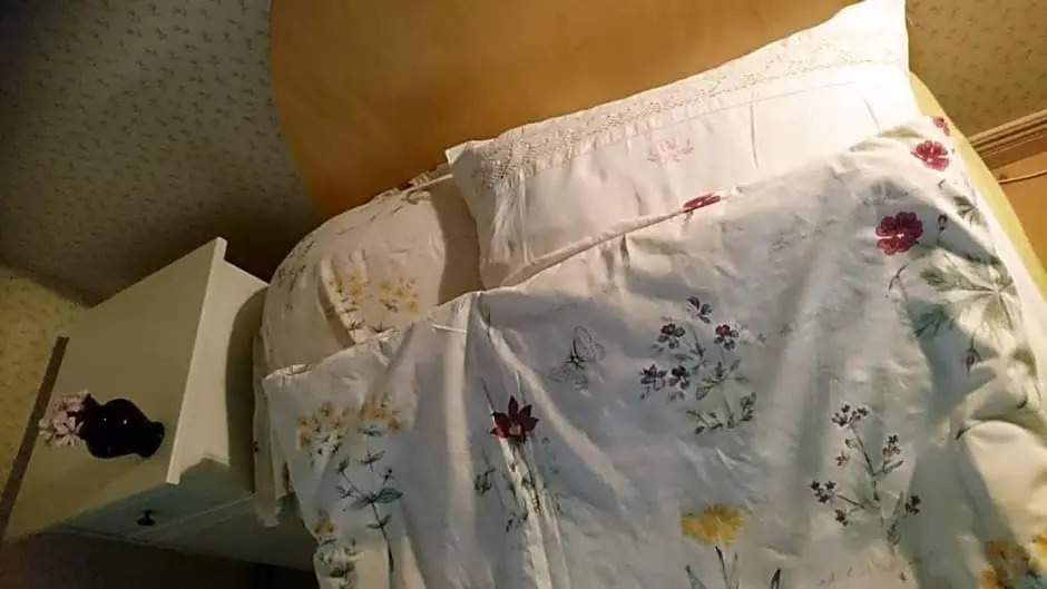 Bo i Remmarlöv