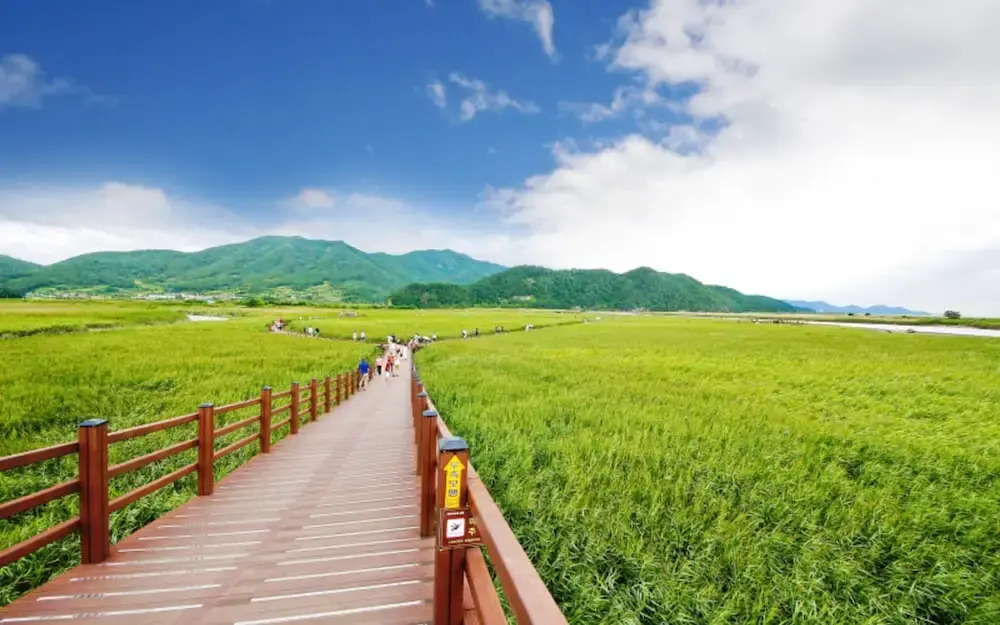 Suncheon Bay Ecology Pension
