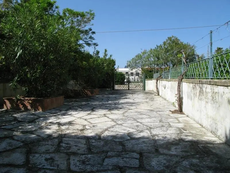 Casa Il Tulipano