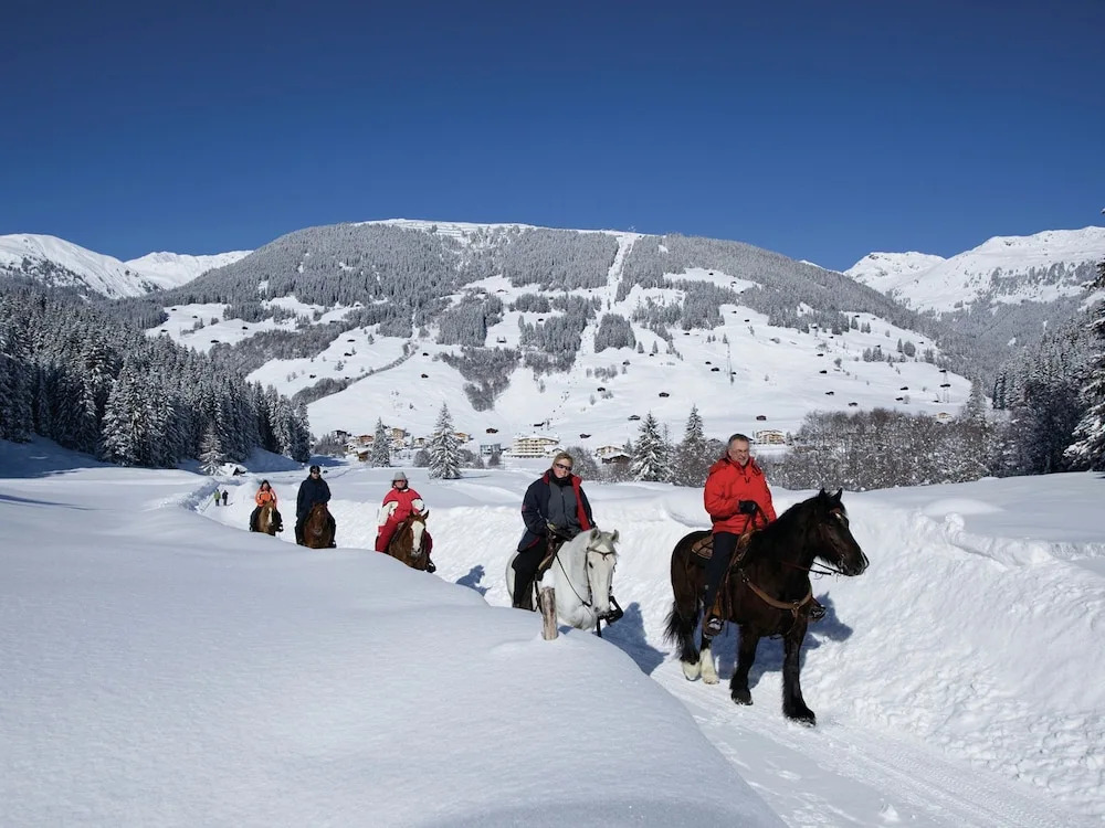 Chalet in Aschau near Ski Bus & Zillertal Slopes