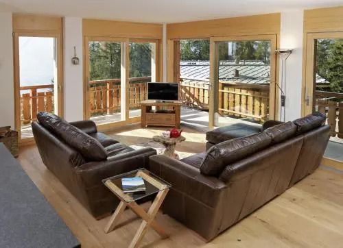 Ski in Ski out LUXURY & MOUNTAIN apartments