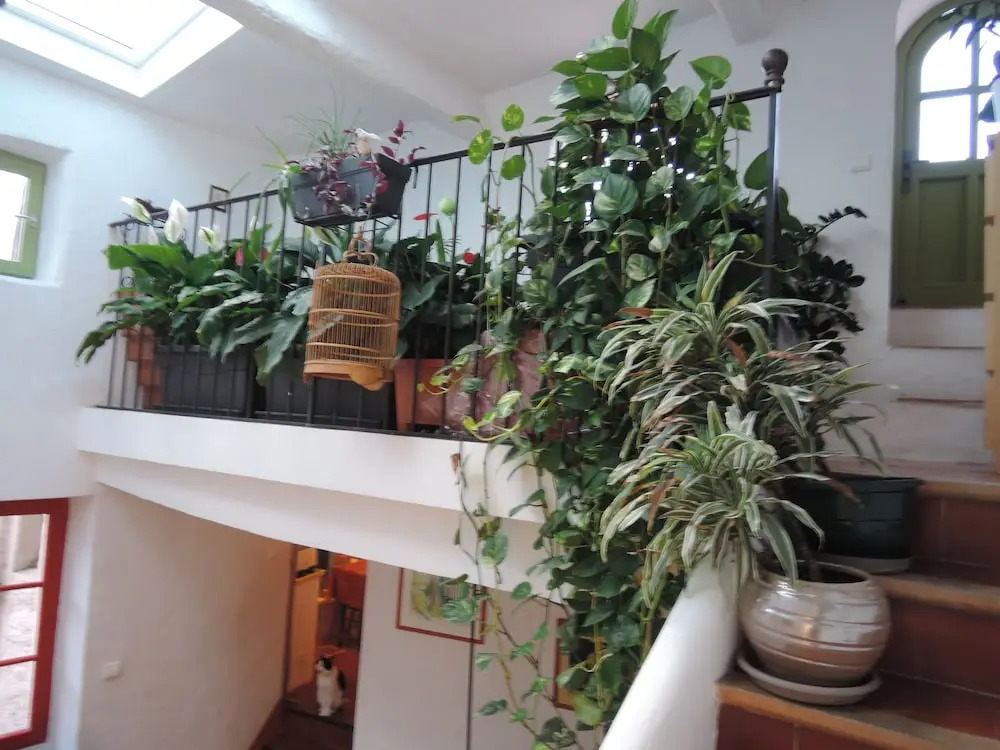 La Maison Bleue B&B
