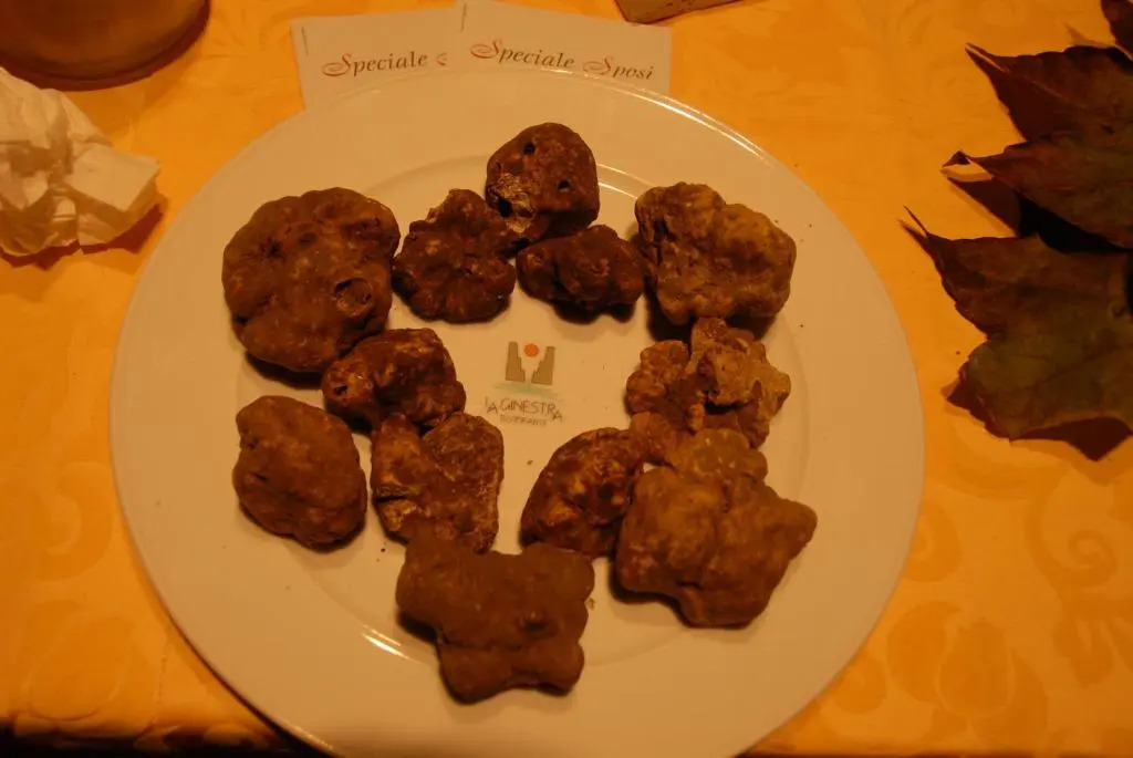 Hotel La Ginestra