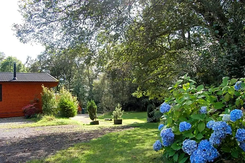 Cosy Rowan woodland lodge no3