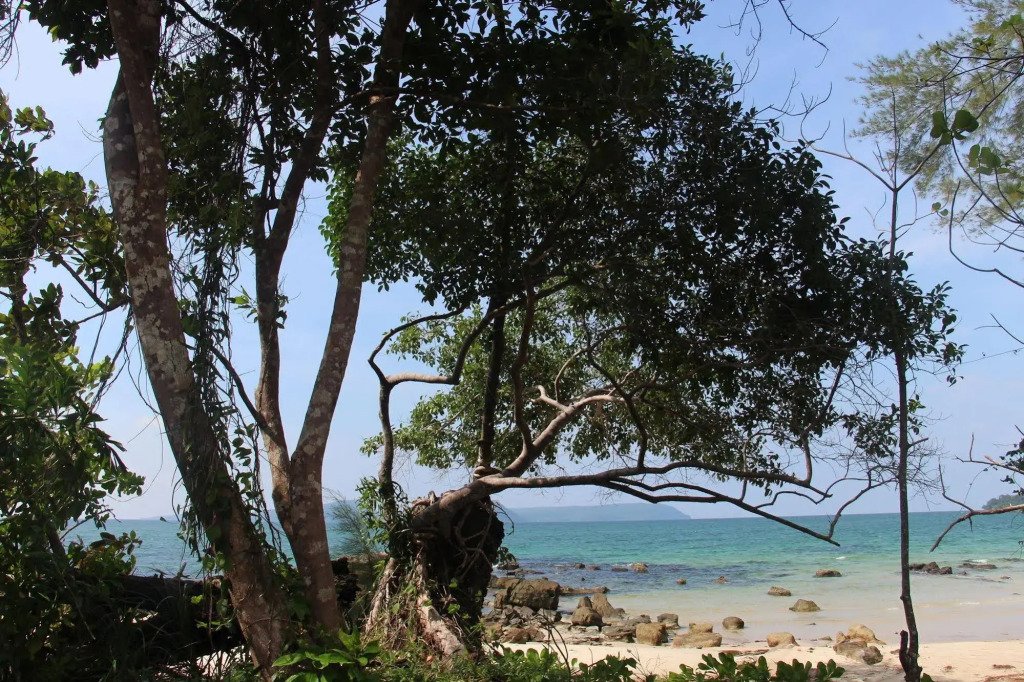 Nature Beach