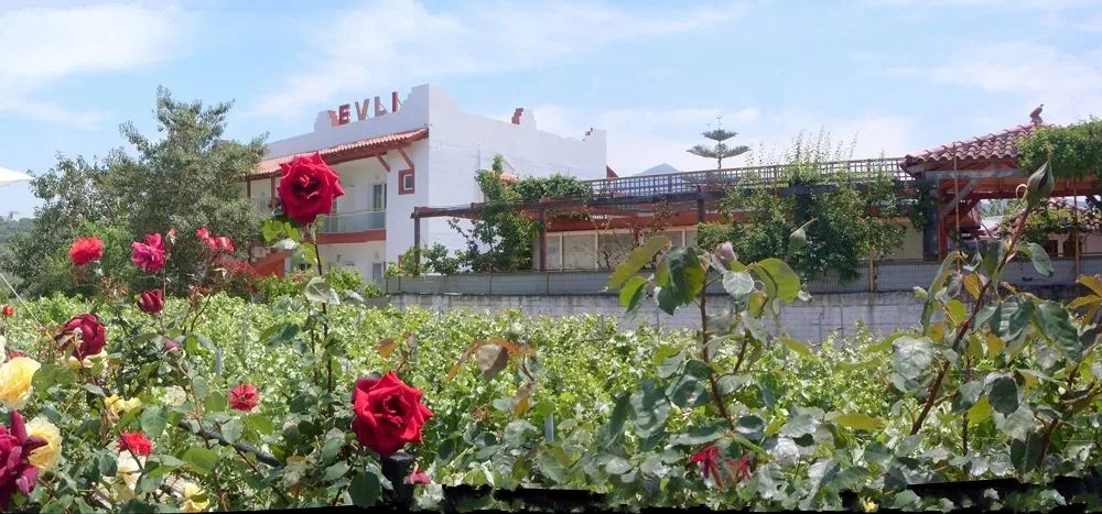 evli
