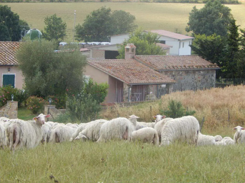 Piane Del Bagno