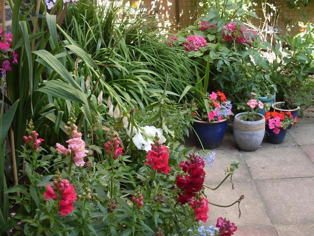 Cambridge House Guest House