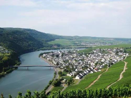 Weingut Weber-Loskill