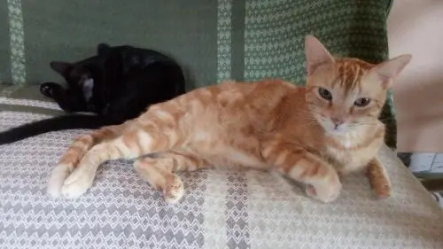 Hostel Ateliê da Feiticeira