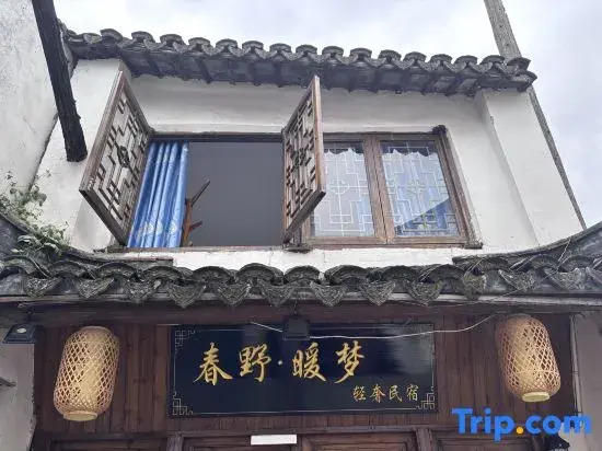 Xitang Chunye · Warm Dream Light Luxury Homestay