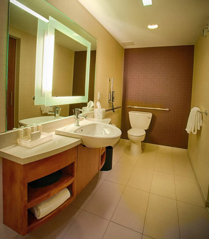 SpringHill Suites by Marriott Canton