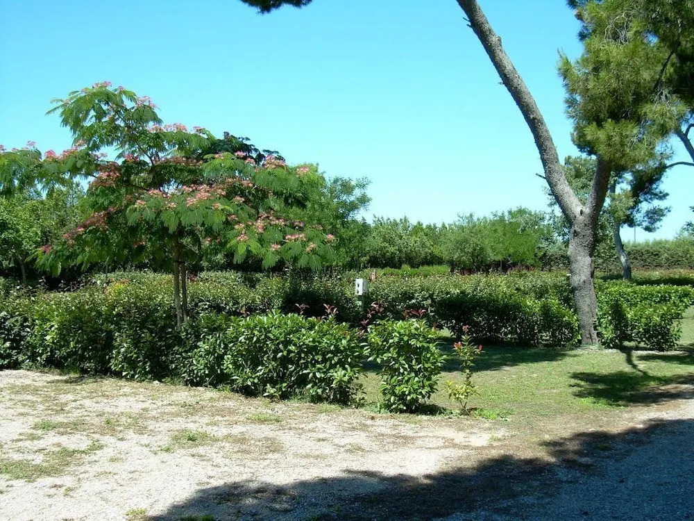 Camping les Amandiers