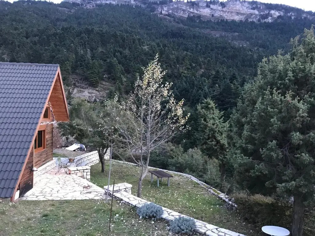 Chalet in the Forest
