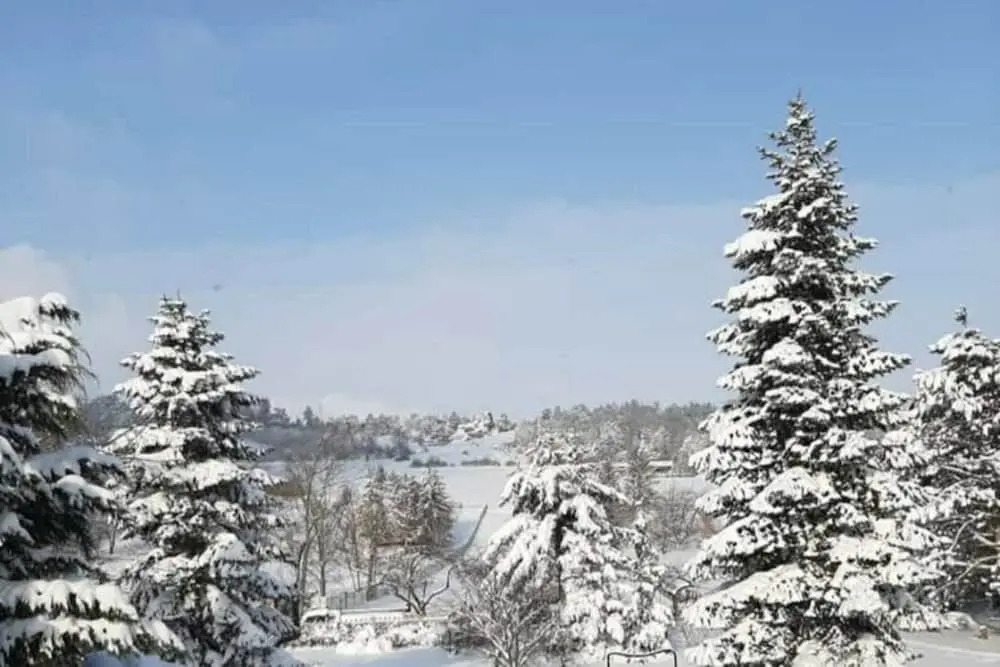 Bungalow With Terrace in Harz Mountains