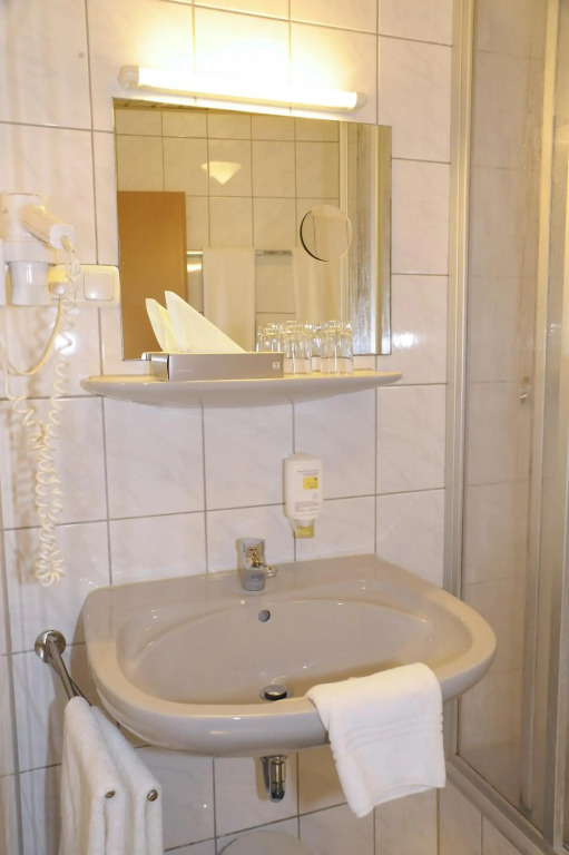 Hotel Goldener Karpfen