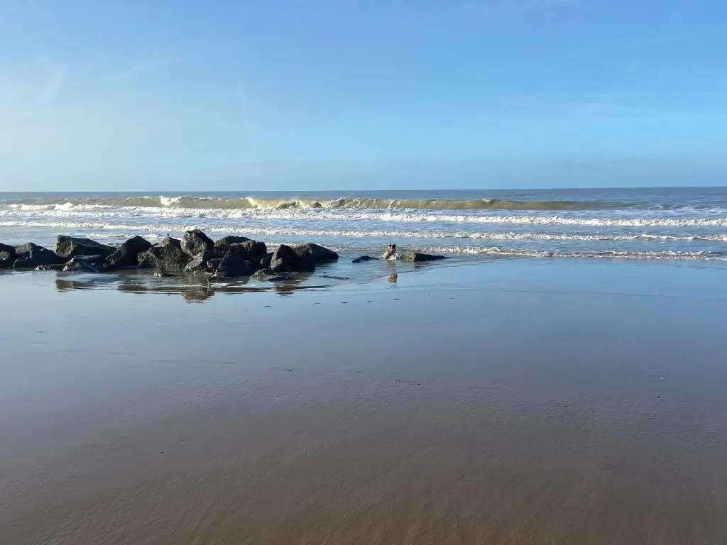 Ruim zonnig appartement op 50m van strand
