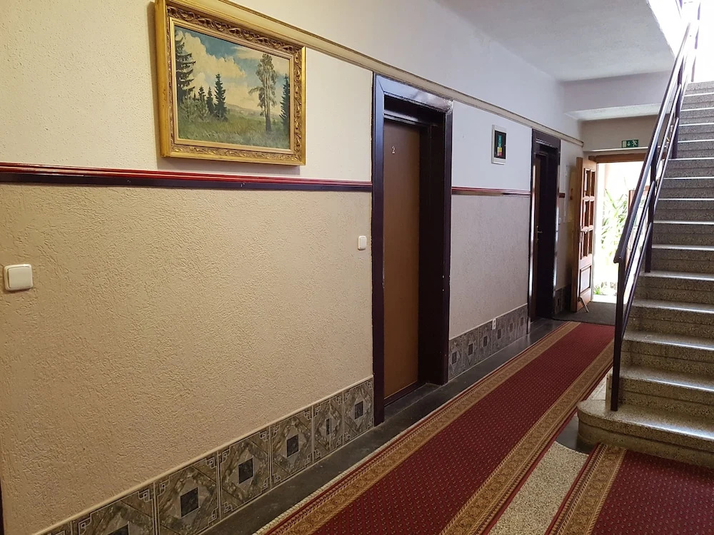 Hotel Bor