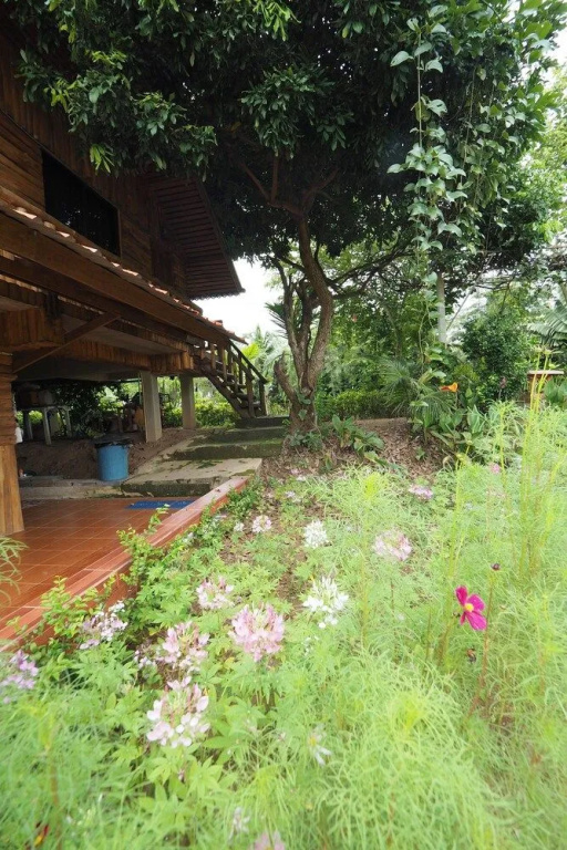 Ton Lang Homestay