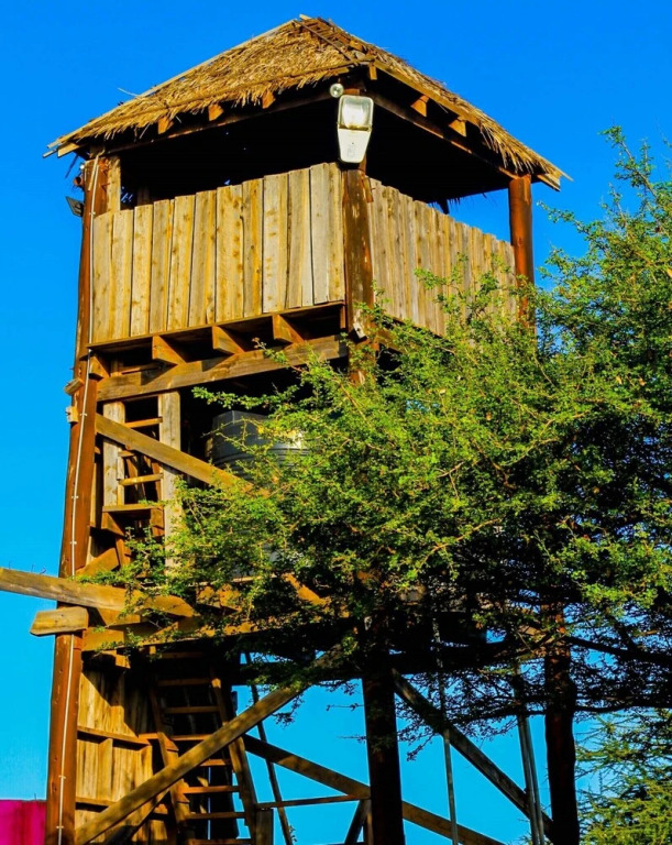 Teen Ranch Camp
