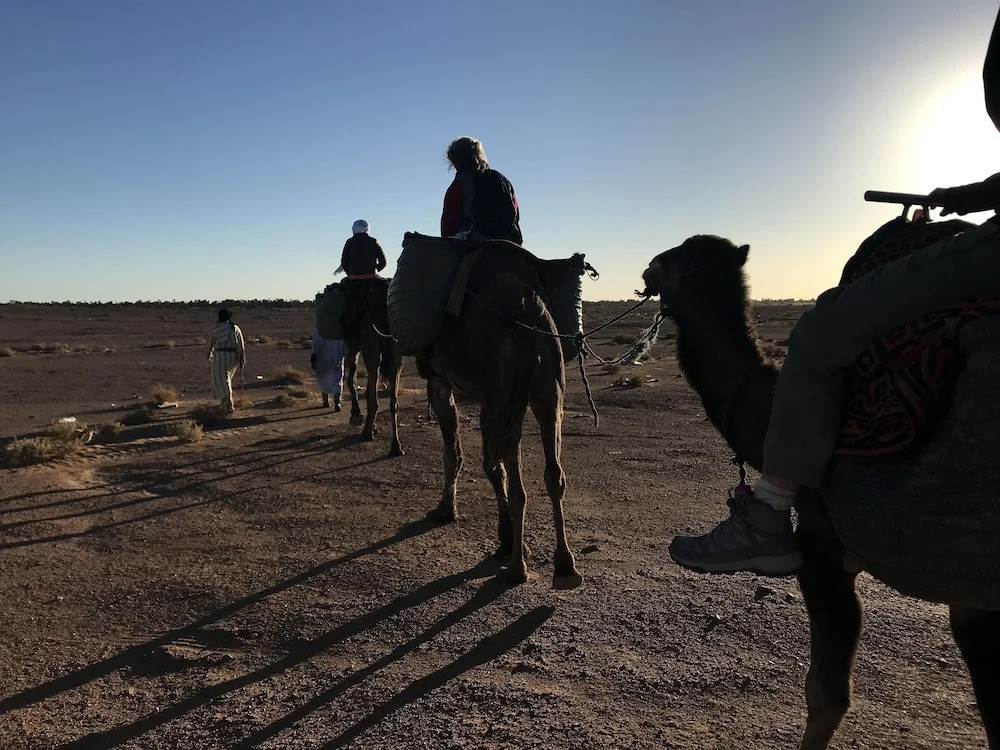 Nomadic Life Camp