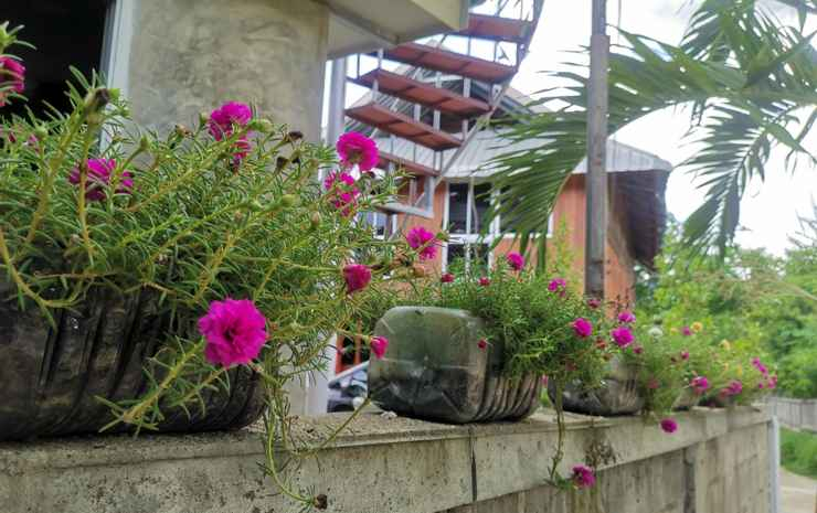Mint Organic Farm Stay, Wangchin,Phrae