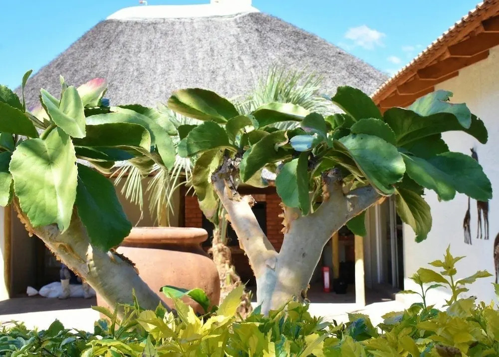 Kamaku Guesthouse cc
