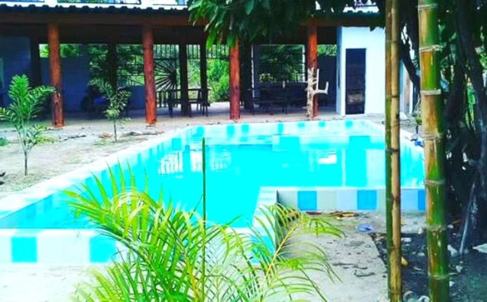 Palomino Hostel