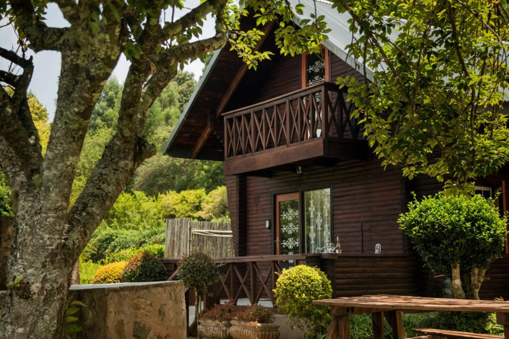 Viewpoint - Cabin 5