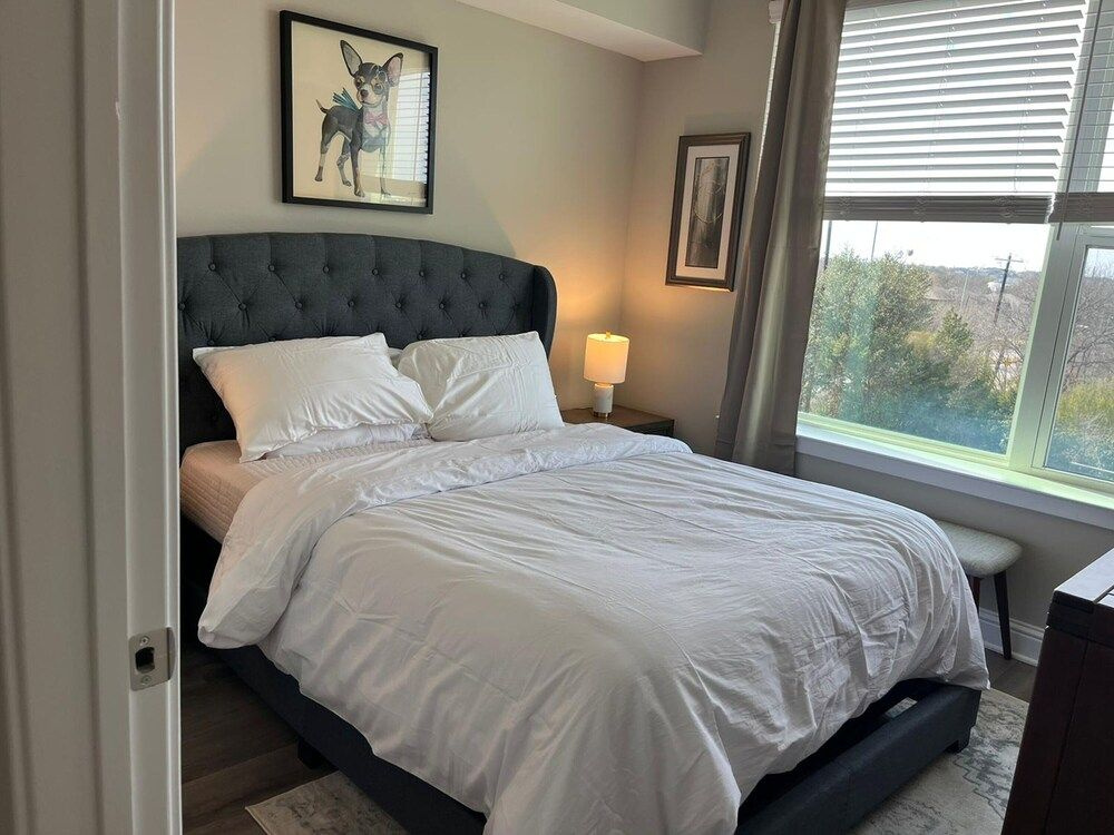 The Elvis Presley Urban Luxury Apts Austin