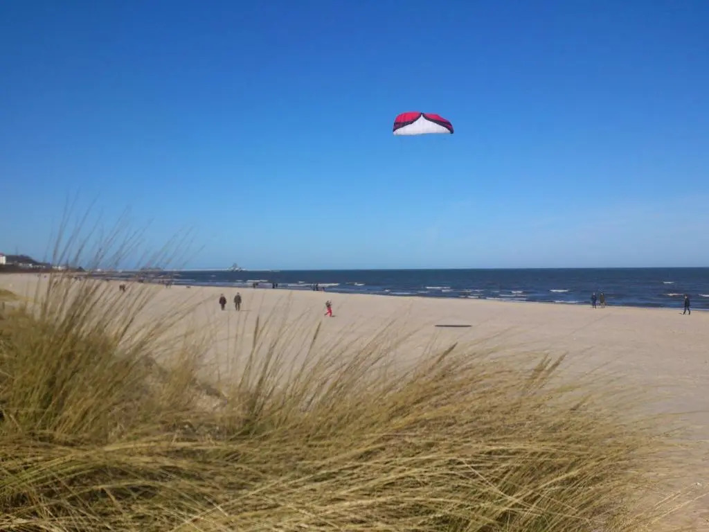 Waldhaus Gertrud - 120m zum Strand