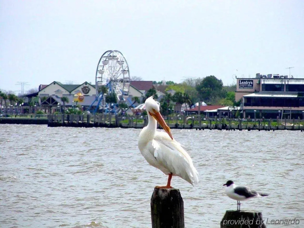 Boardwalk Inn