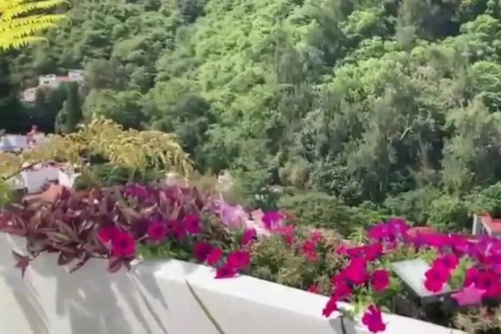 Vista al viento, Hill View Villa en Cuernavaca 8px