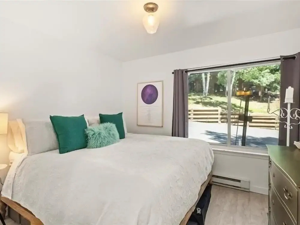 Remodeled Snowmass Pet-Friendly Modern 1BR Condo - G125
