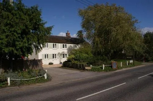 The Willows