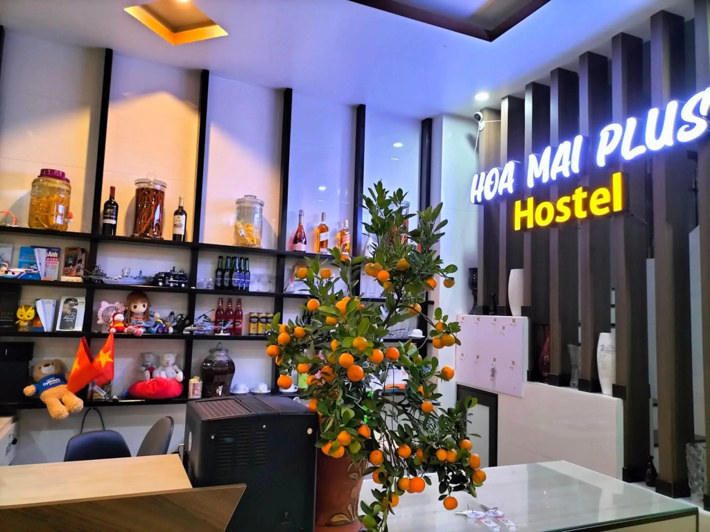 HOA MAI Plus Hostel