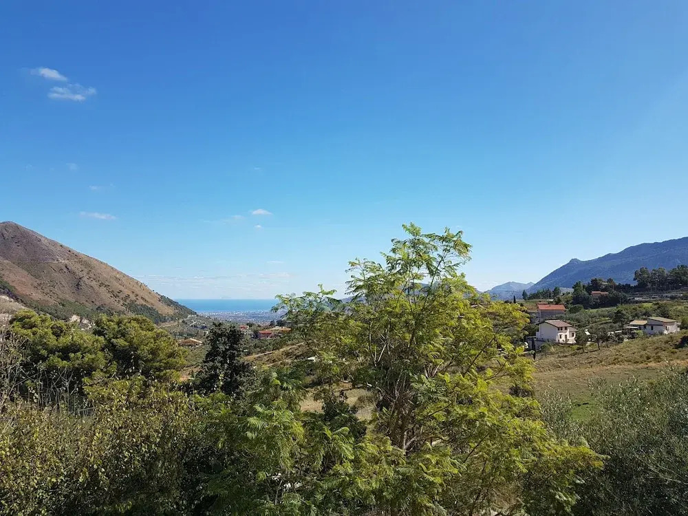 Casa SuccoAcido