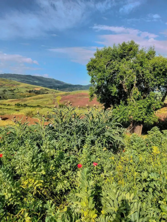Villa aperta campagna