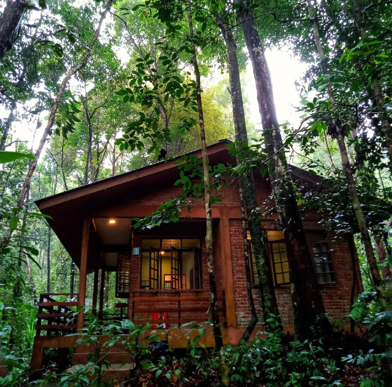 Permai Rainforest Resort