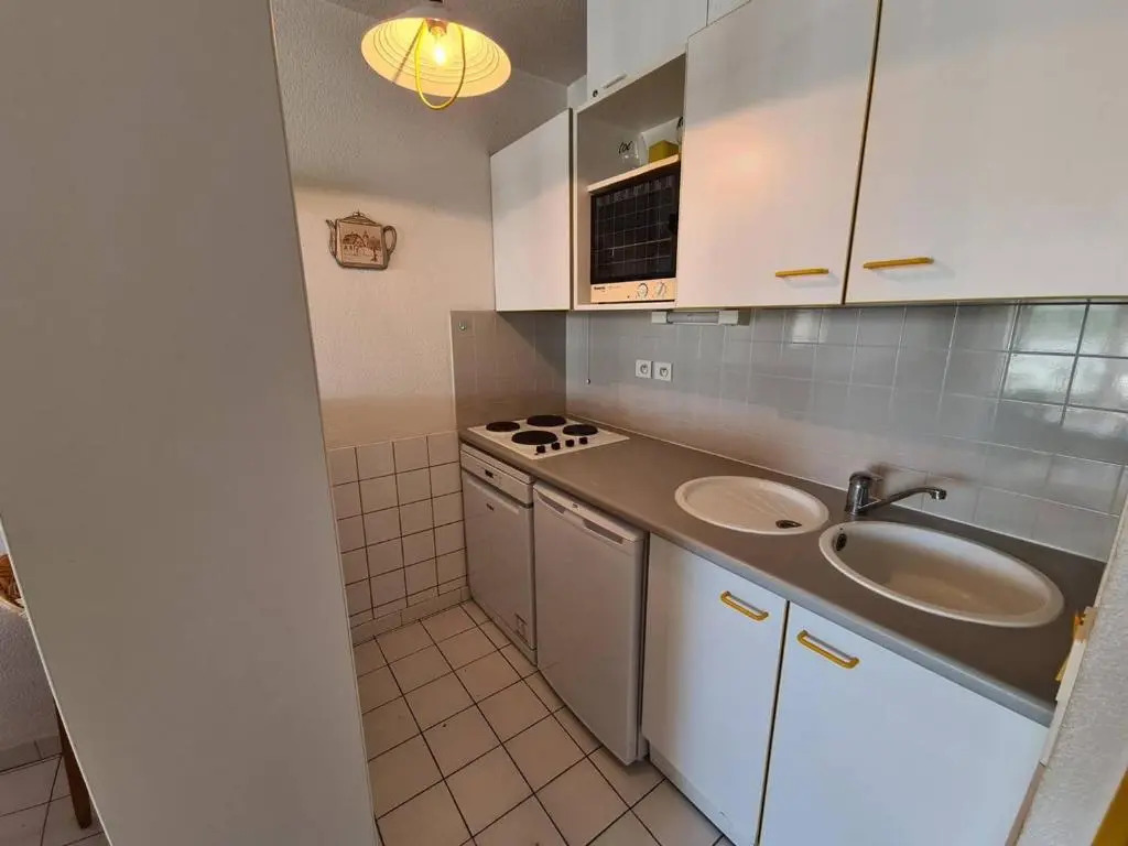 Appartement Argelès-sur-Mer, 2 pièces, 6 personnes - FR-1-388-16