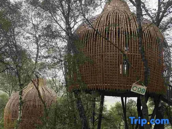 Guanshan Prairie Huaxi Sushang Tree House Hostel