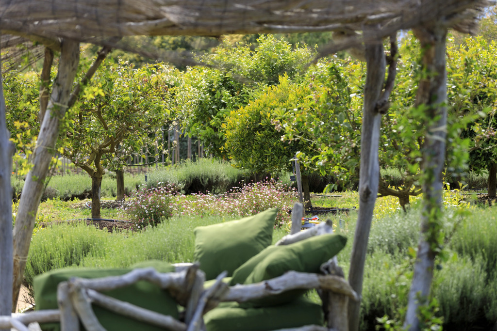 Grand Hôtel De Cala Rossa & Spa Nucca